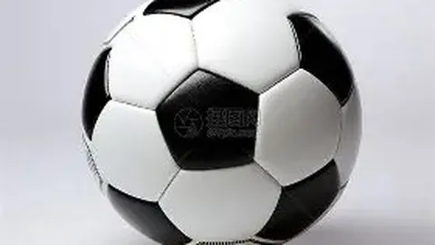 《阿莱格里揭秘：普利希奇追赶巅峰之路漫漫，莱奥蜕变非我一手打造》